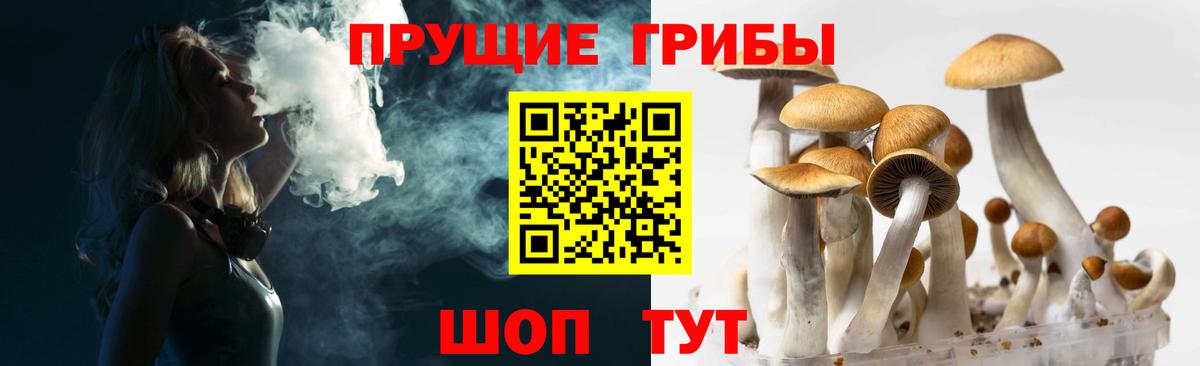 Галлюциногенные грибы ЛСД  как найти наркотики  Алушта  Вход с VPN  Псилоцибиновые грибы Cubensis 