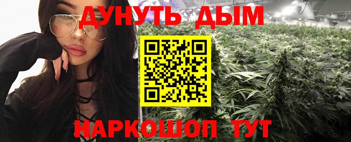 МАРИХУАНА тримм  Шишки марихуана конопля  Вход с VPN  МАРИХУАНА ГИДРОПОН  Алушта 
